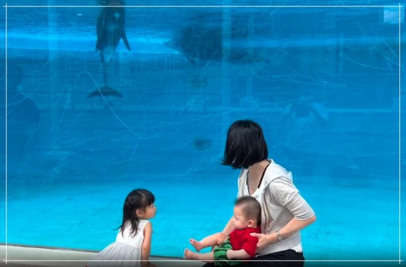 女優肘井美佳さん、お子さん達と水族館に行った時の様子
